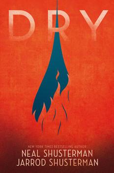 Red book cover with a gray shadow behind flames. Book title is Dry by Neil Shusterman.