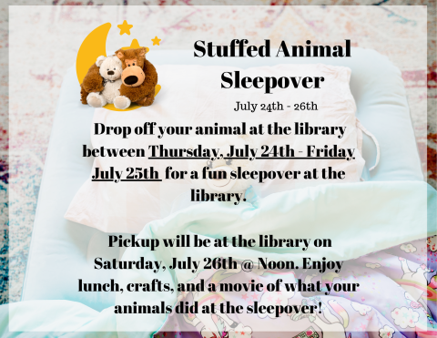 stuffed animal sleepover